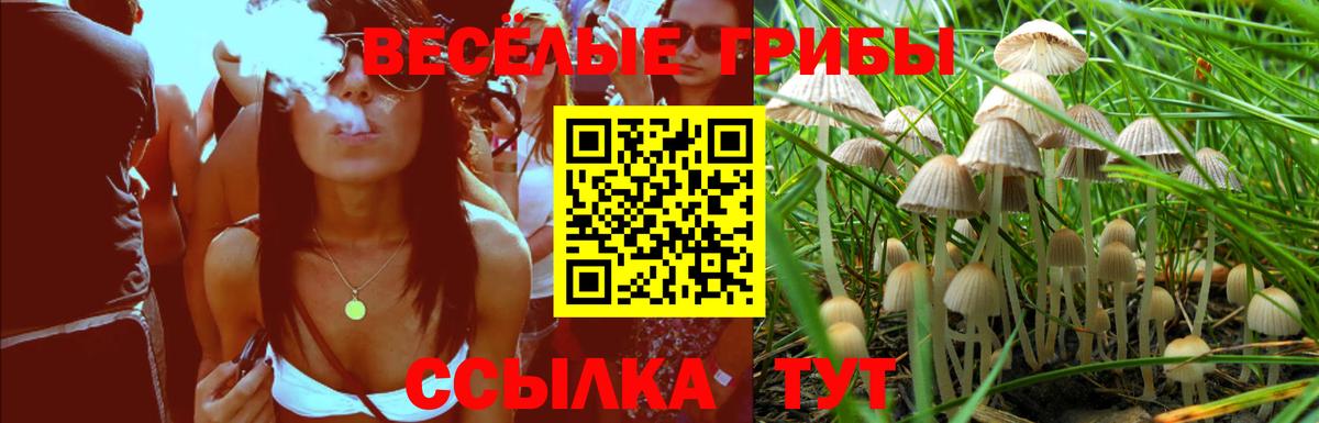 Псилоцибиновые грибы MAGIC MUSHROOMS  купить наркоту  Нижневартовск  Вход с VPN 